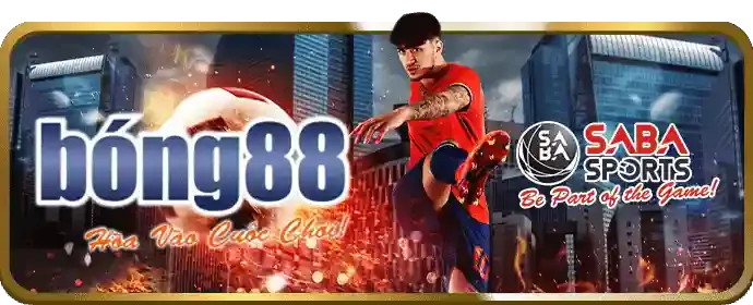 Tiền thưởng chào mừng với đồng xu vàng và cúp